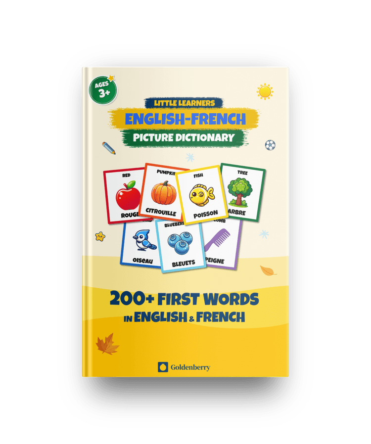 Little Learners English French Picture Dictionary