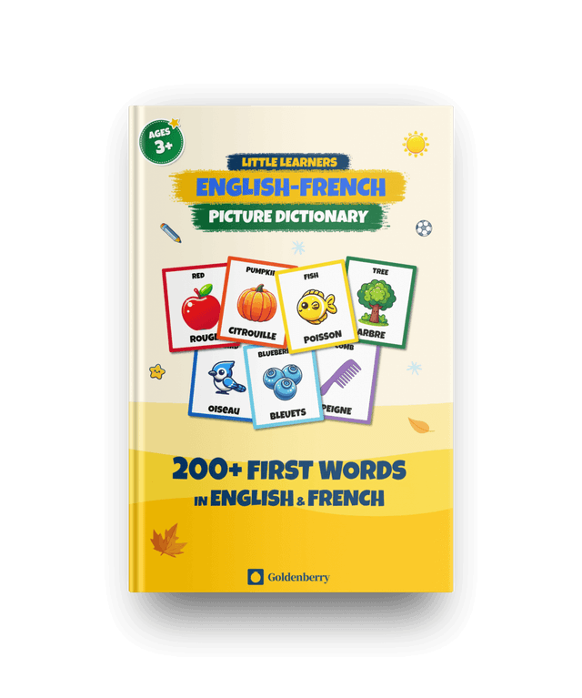 Little Learners English French Picture Dictionary